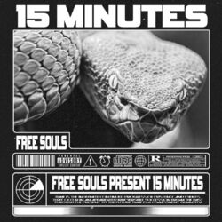 Cover of 15 Minutes