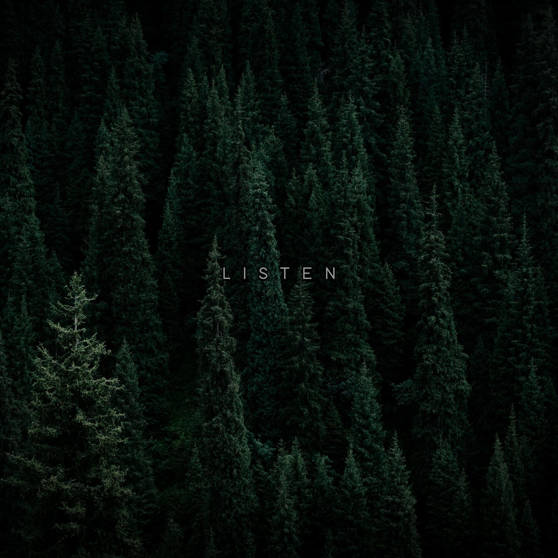 Album cover of LISTEN