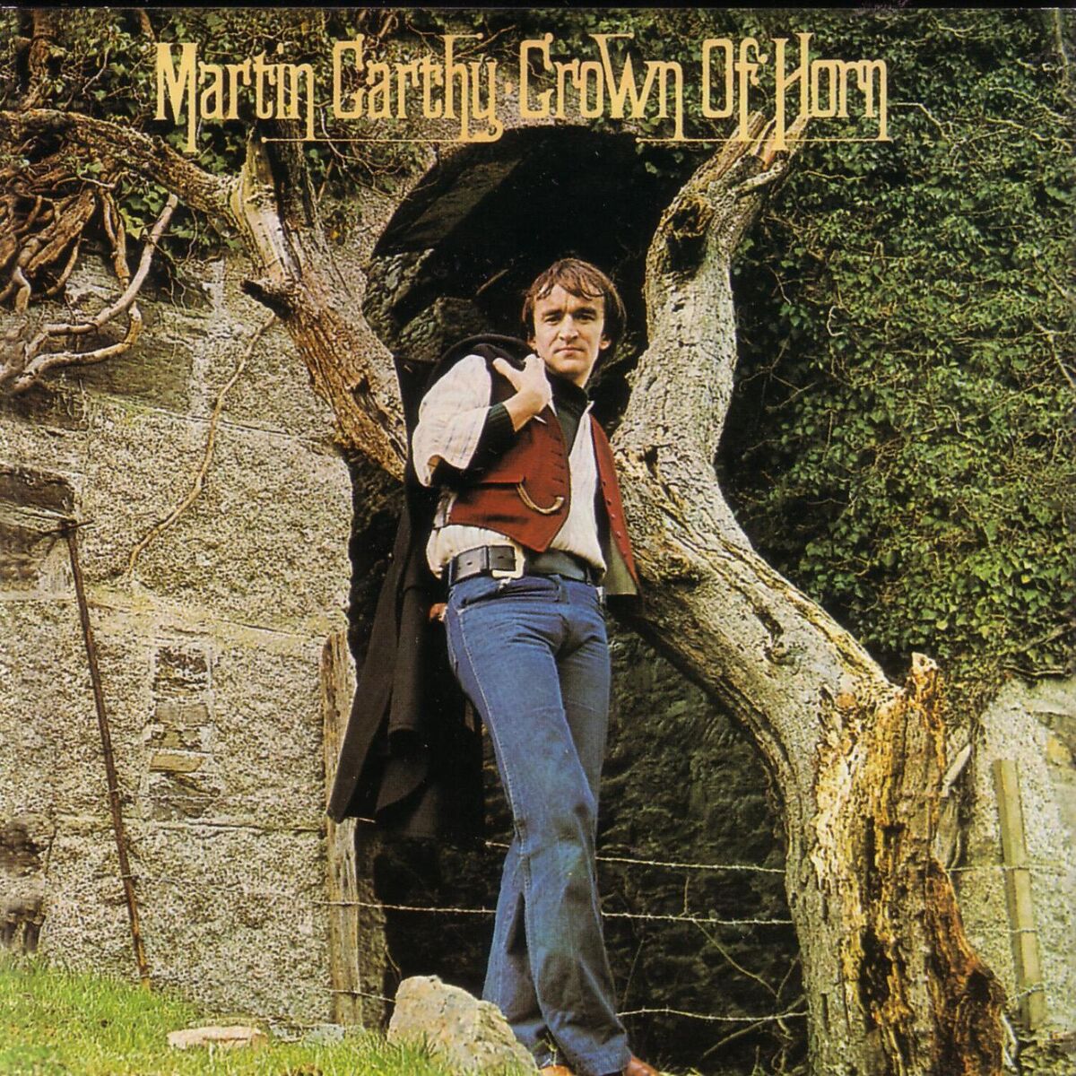 Album cover of Crown of Horn