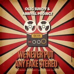 Cover of We Never Put any Fake Stereo