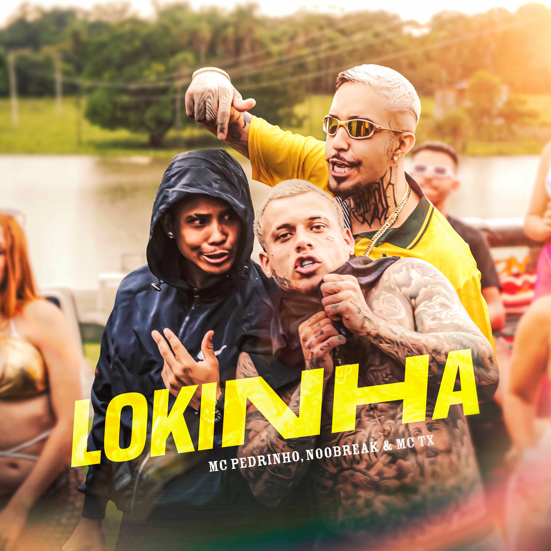 Album cover of Lokinha