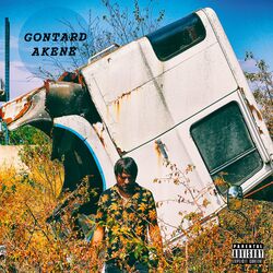 Cover of AKENE