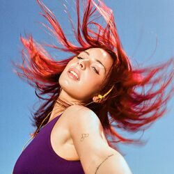 Cover of Free