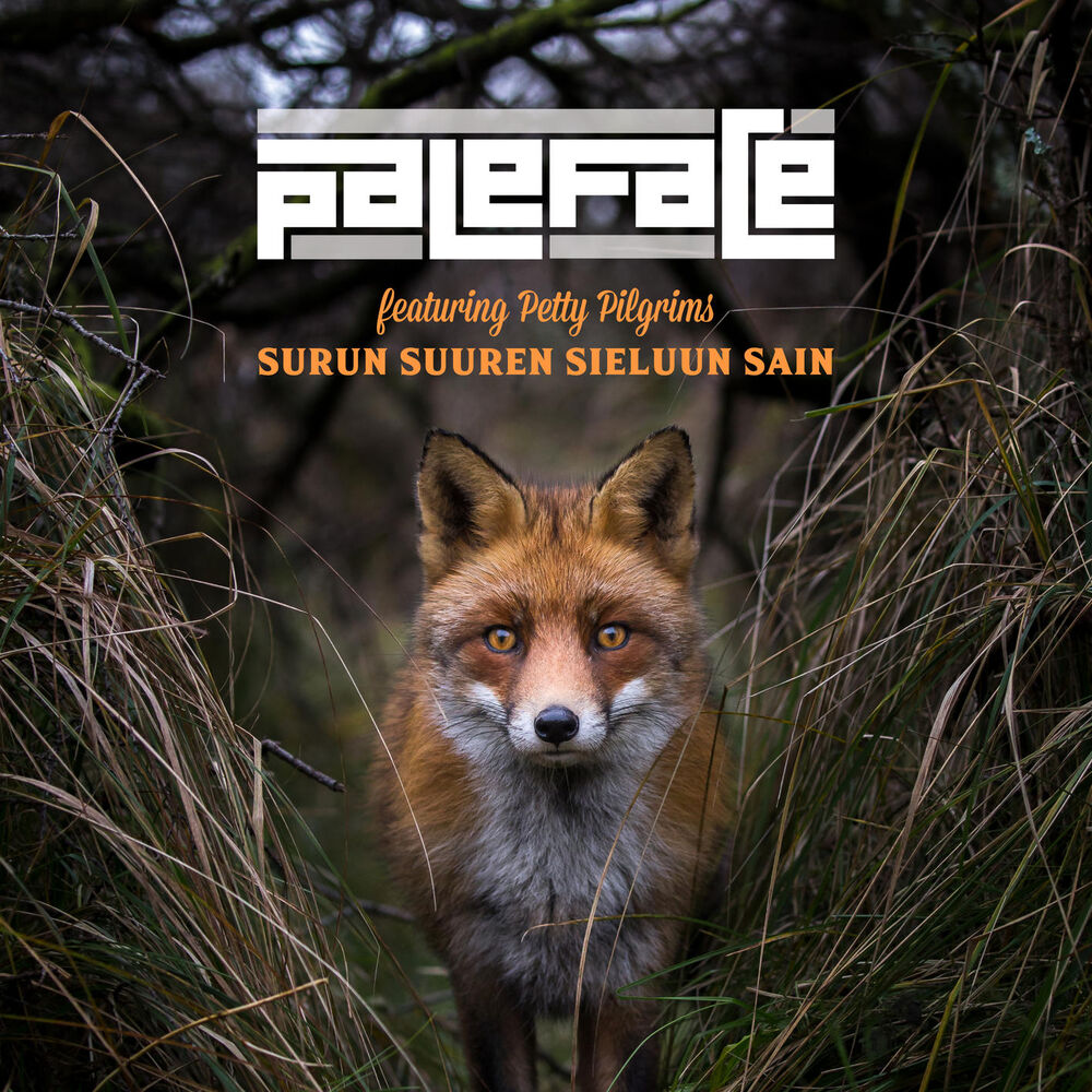 Picture of Surun suuren sieluun sain (feat. Petty Pilgrims)