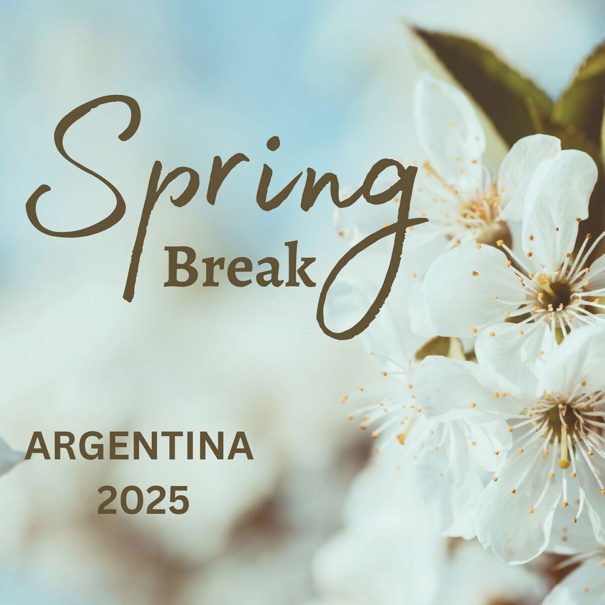 Album cover of Spring Break - ARGENTINA 2025