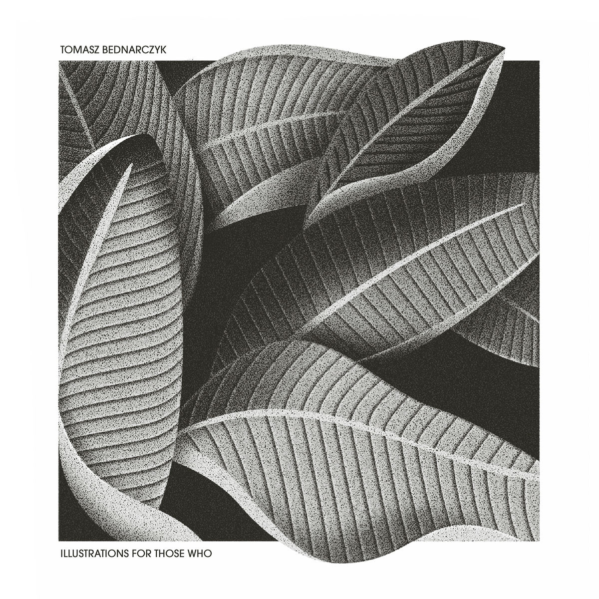 Album cover of Illustrations for Those Who