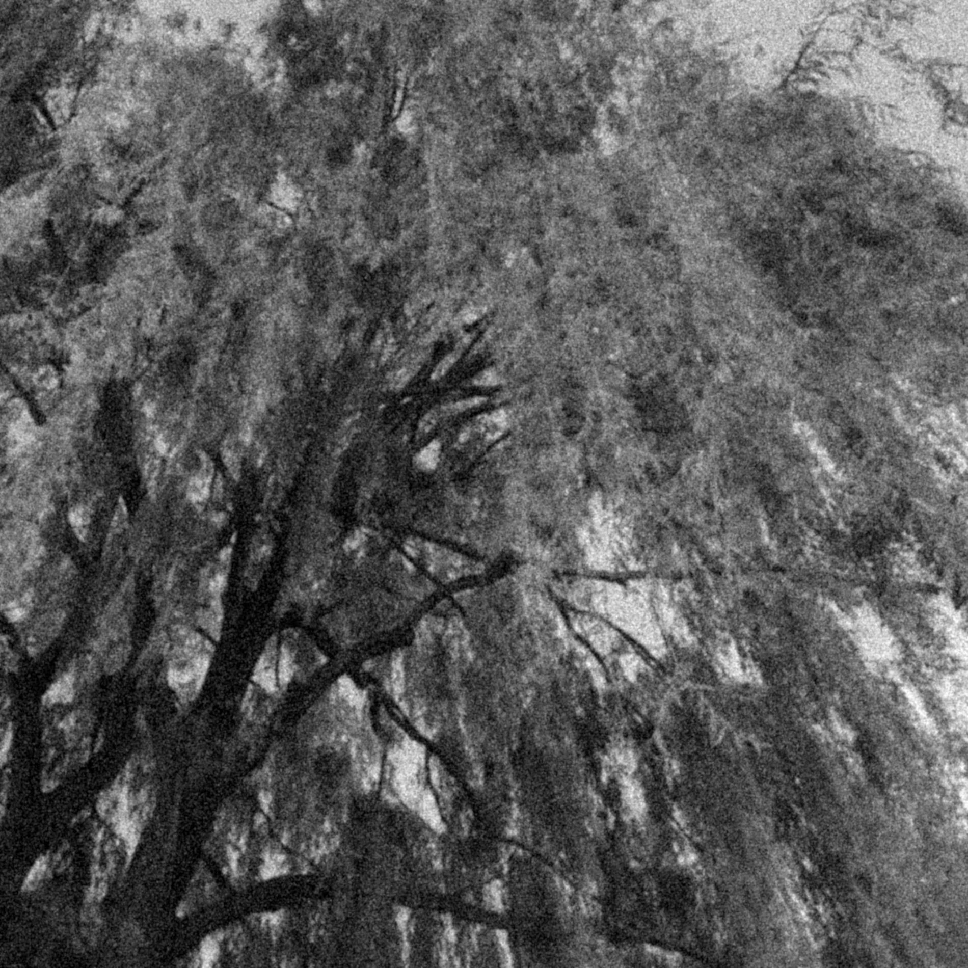 Album cover of come thou fount of every blessing