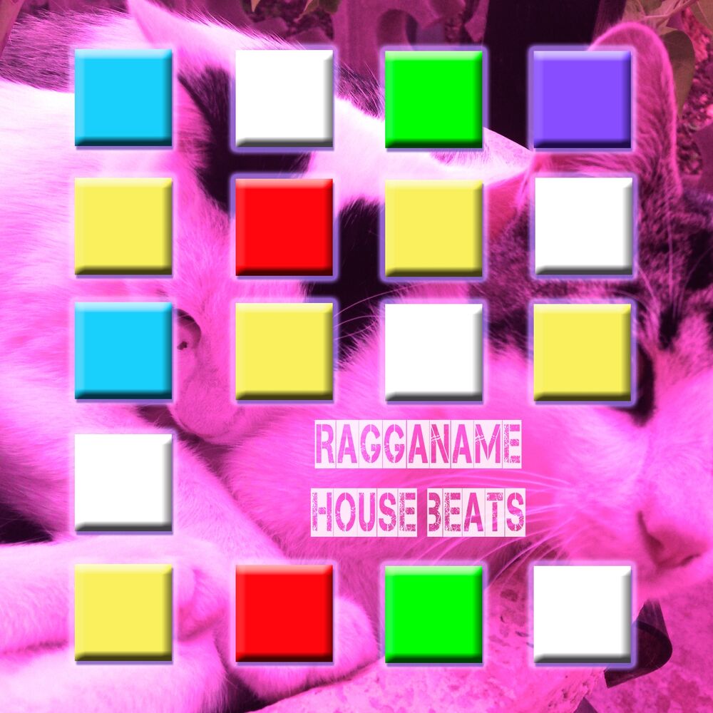 Picture of House Beats