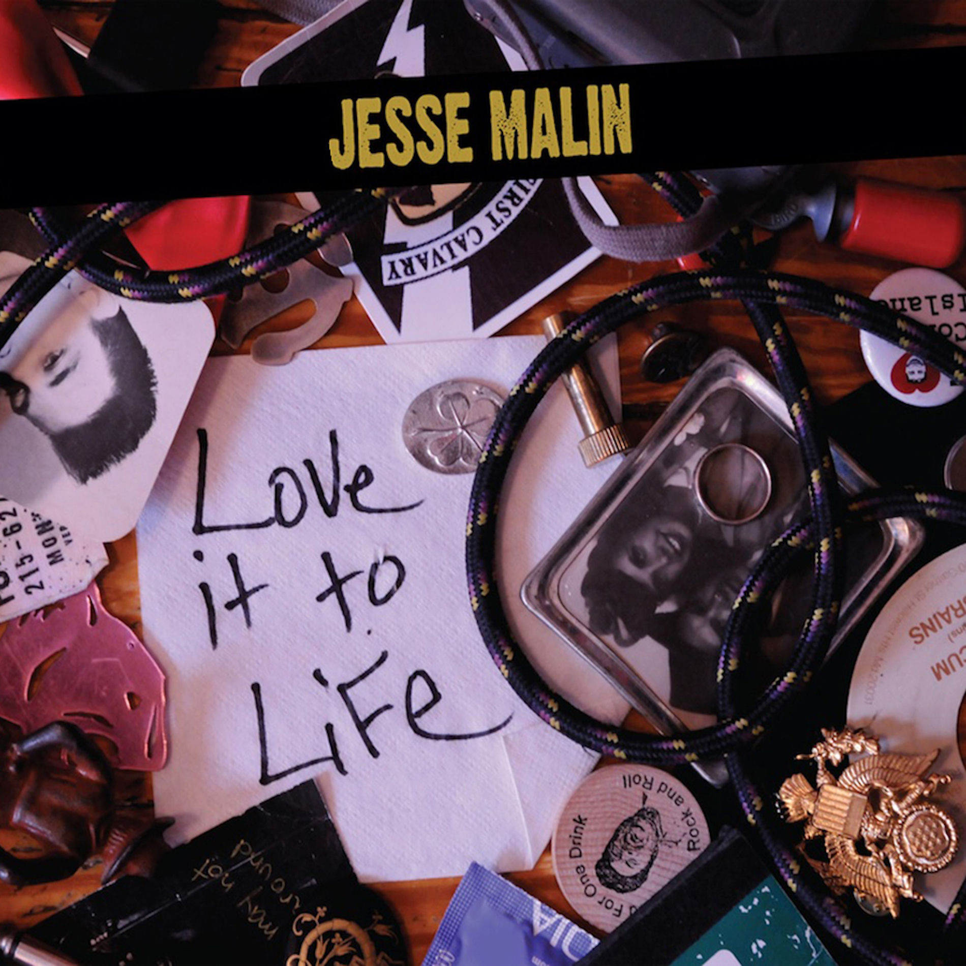 Album cover of Love It to Life