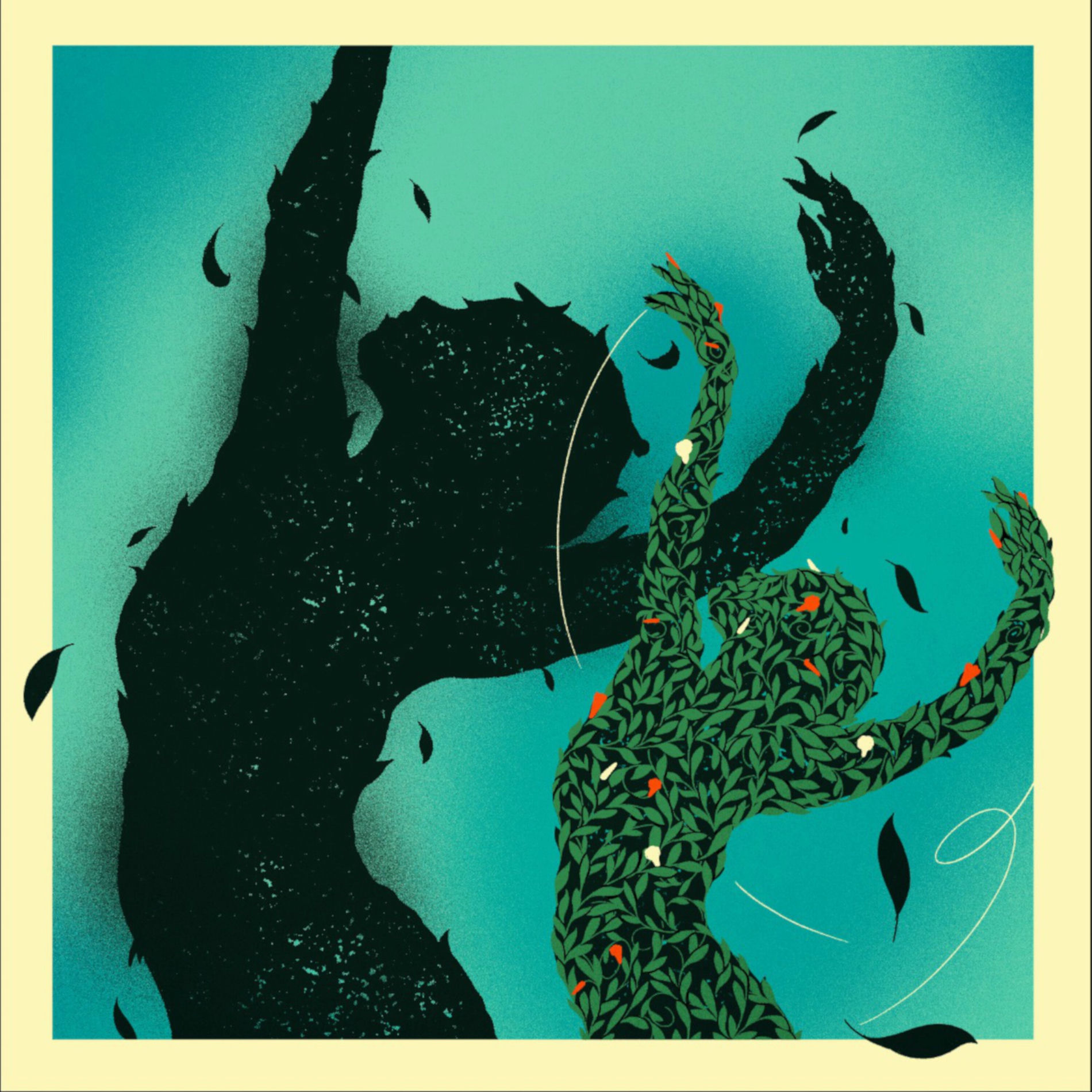 Album cover of Shadow