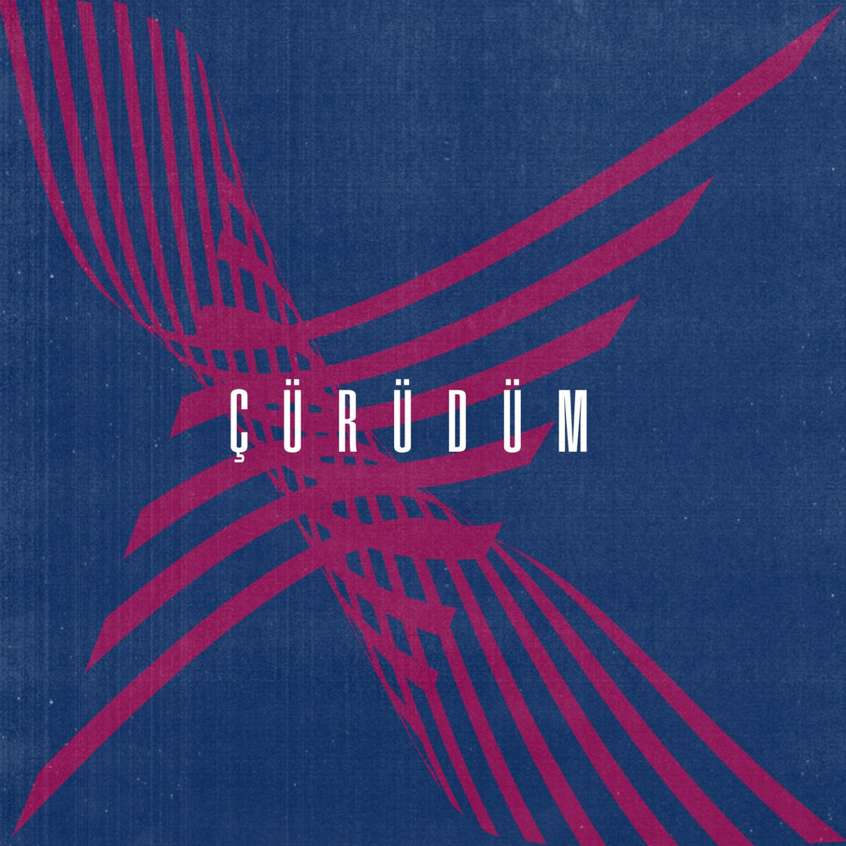 Album cover of Çürüdüm