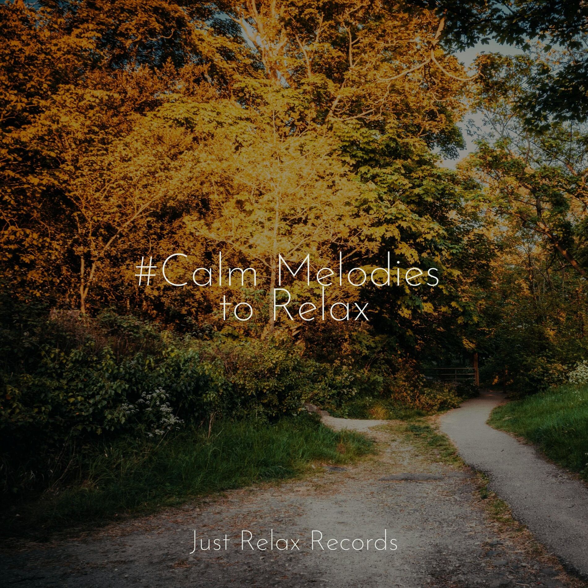 Album cover of #Calm Melodies to Relax
