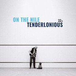 Cover of On the Nile