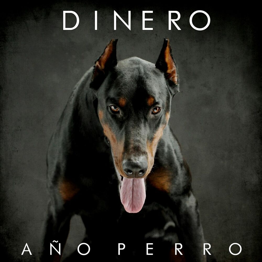 Picture of Año perro