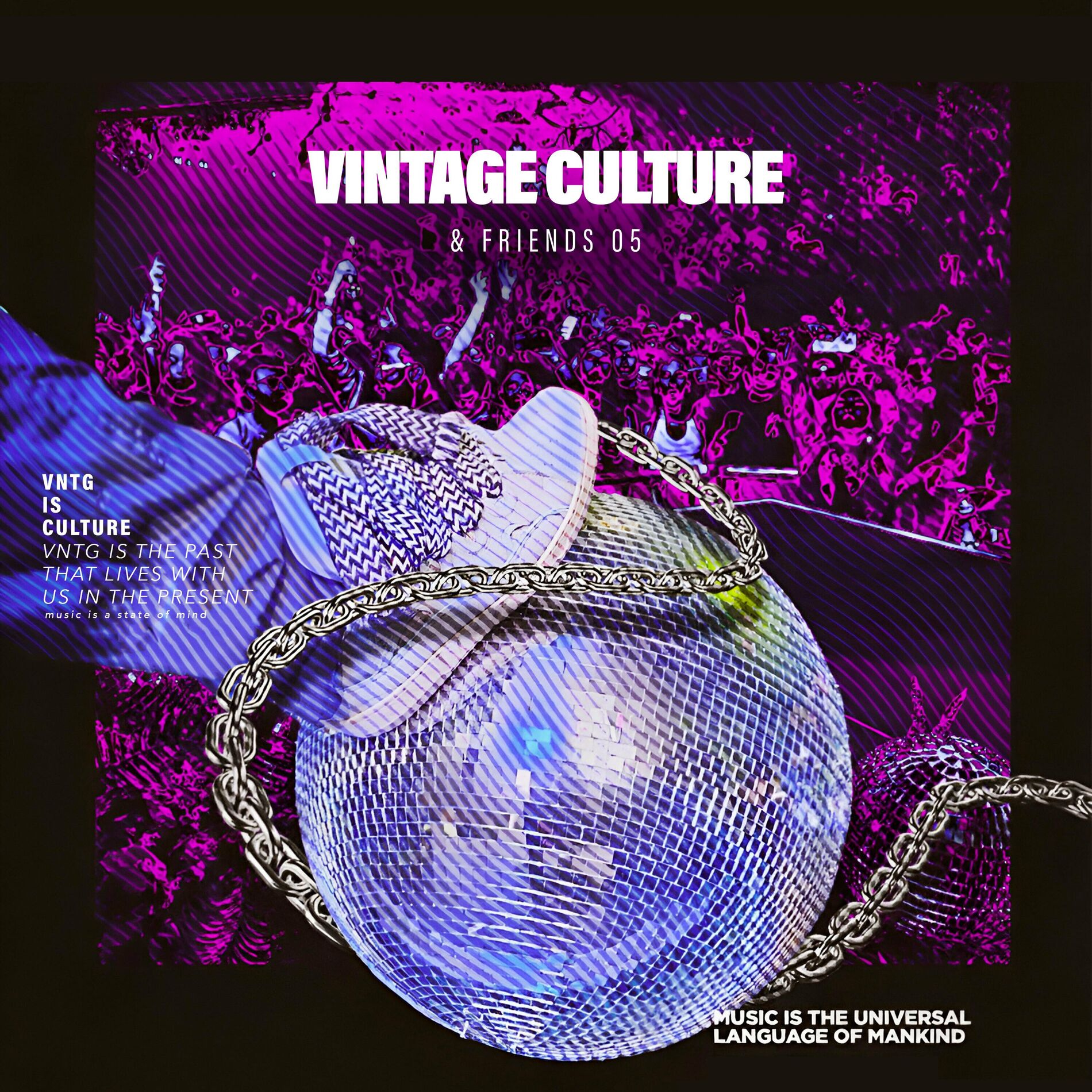 Album picture of Vintage Culture & Friends, Vol. 5