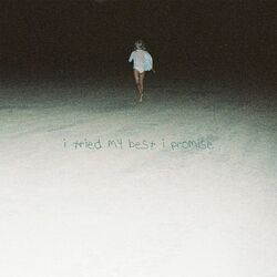 Cover of I Tried My Best I Promise