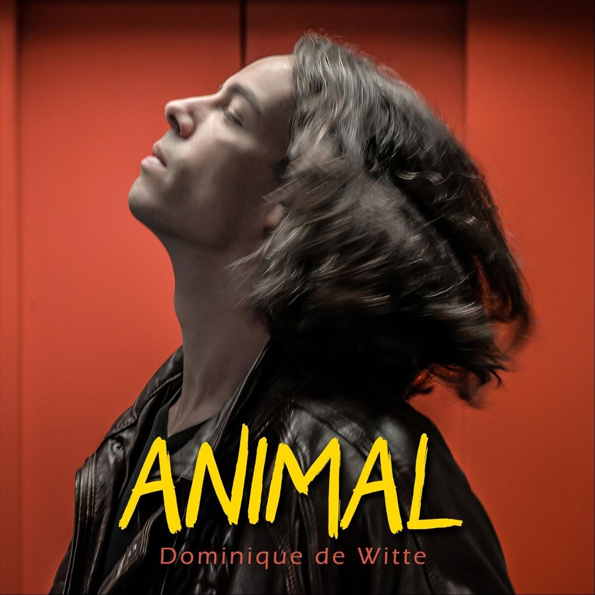 Album cover of Fauve