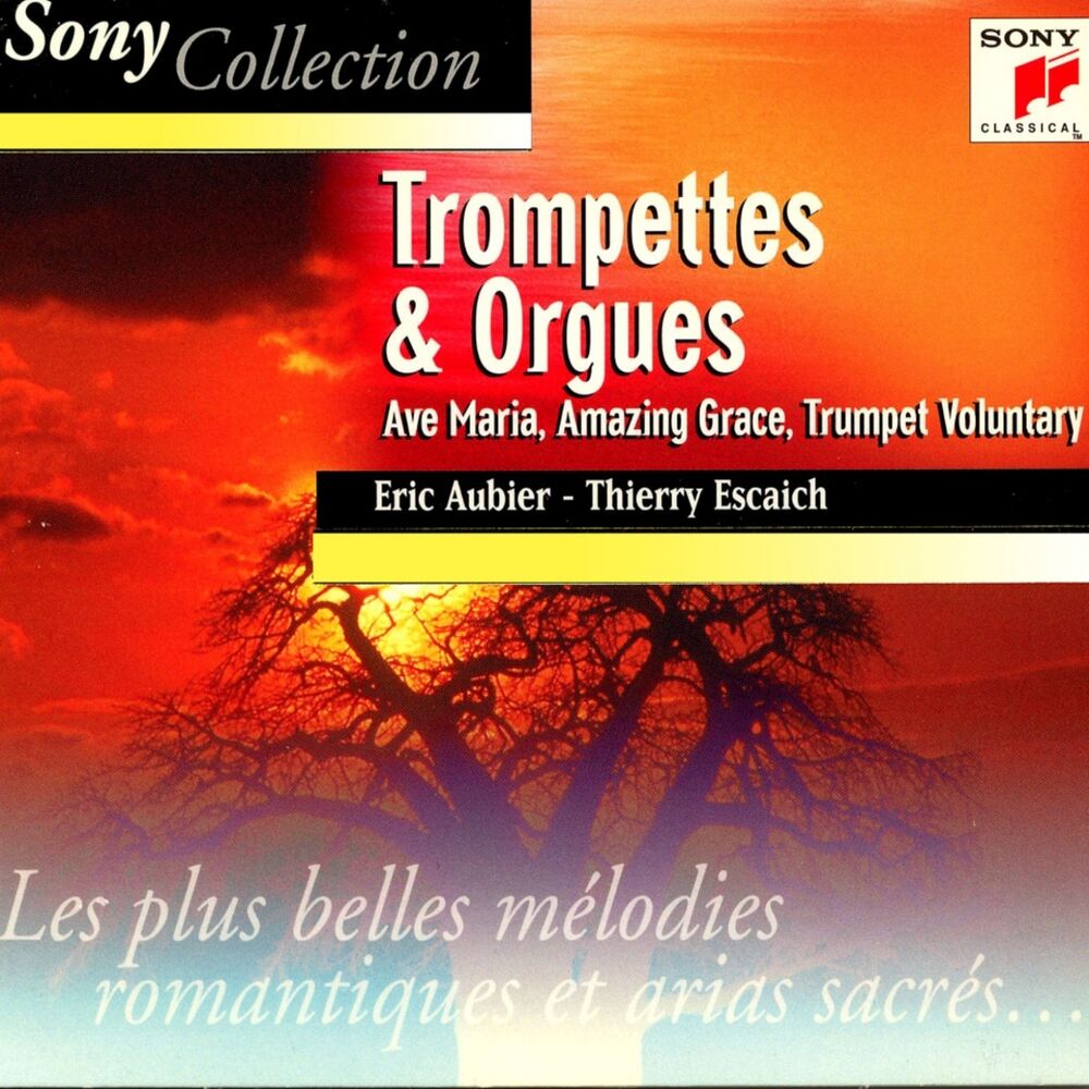 Picture of Trompettes et orgues, trumpet and organ