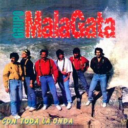 Cover of Con toda la onda