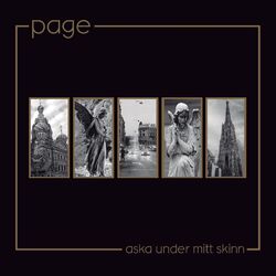 Cover of Aska under mitt skinn