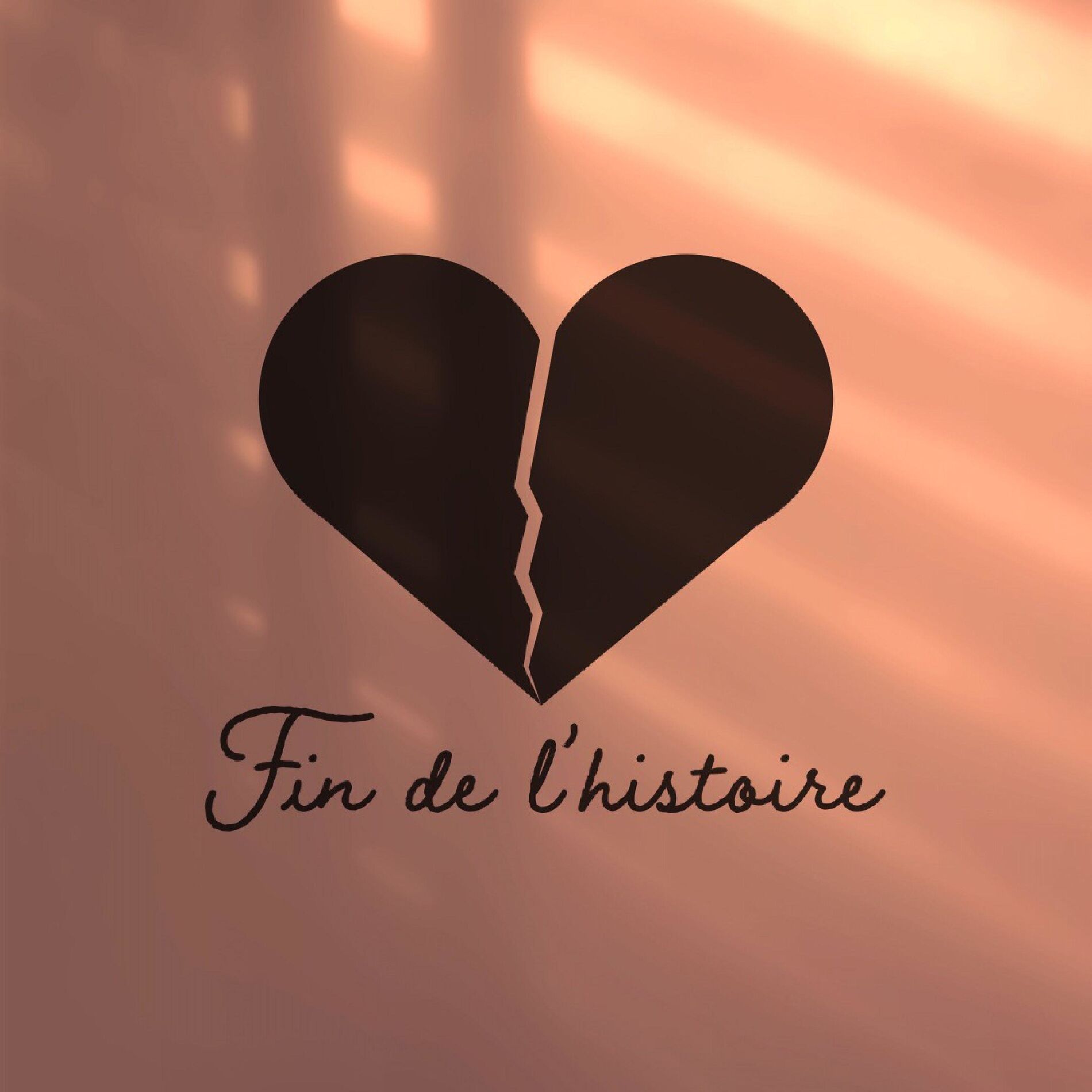 Album cover of Fin de L'histoire (feat. Iwaan)