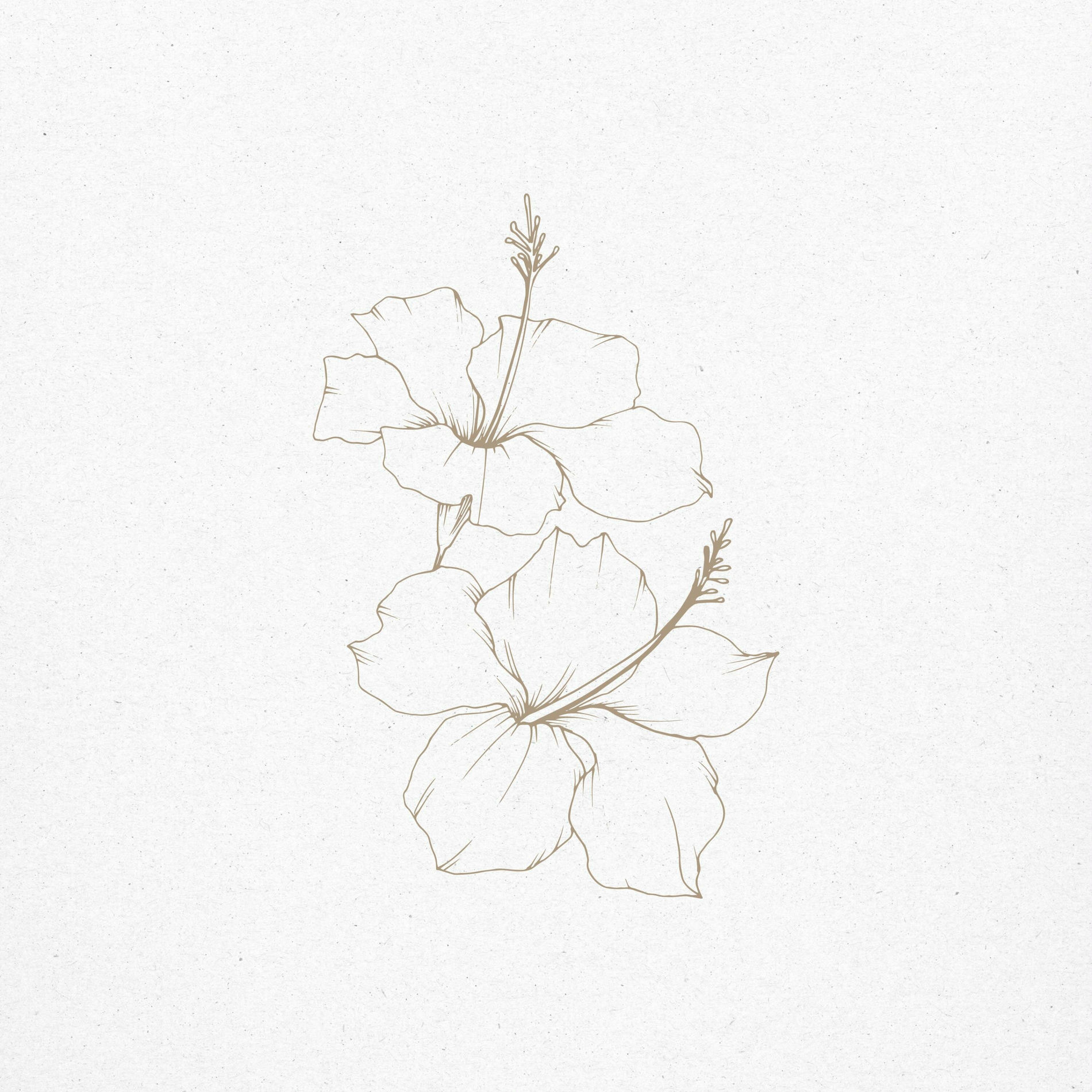 Album cover of Barely