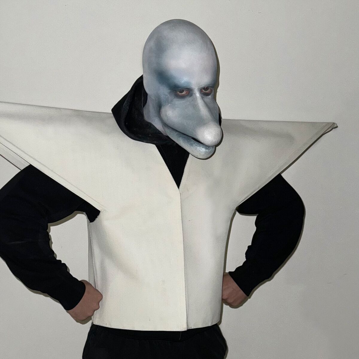 Album cover of Harri Poter