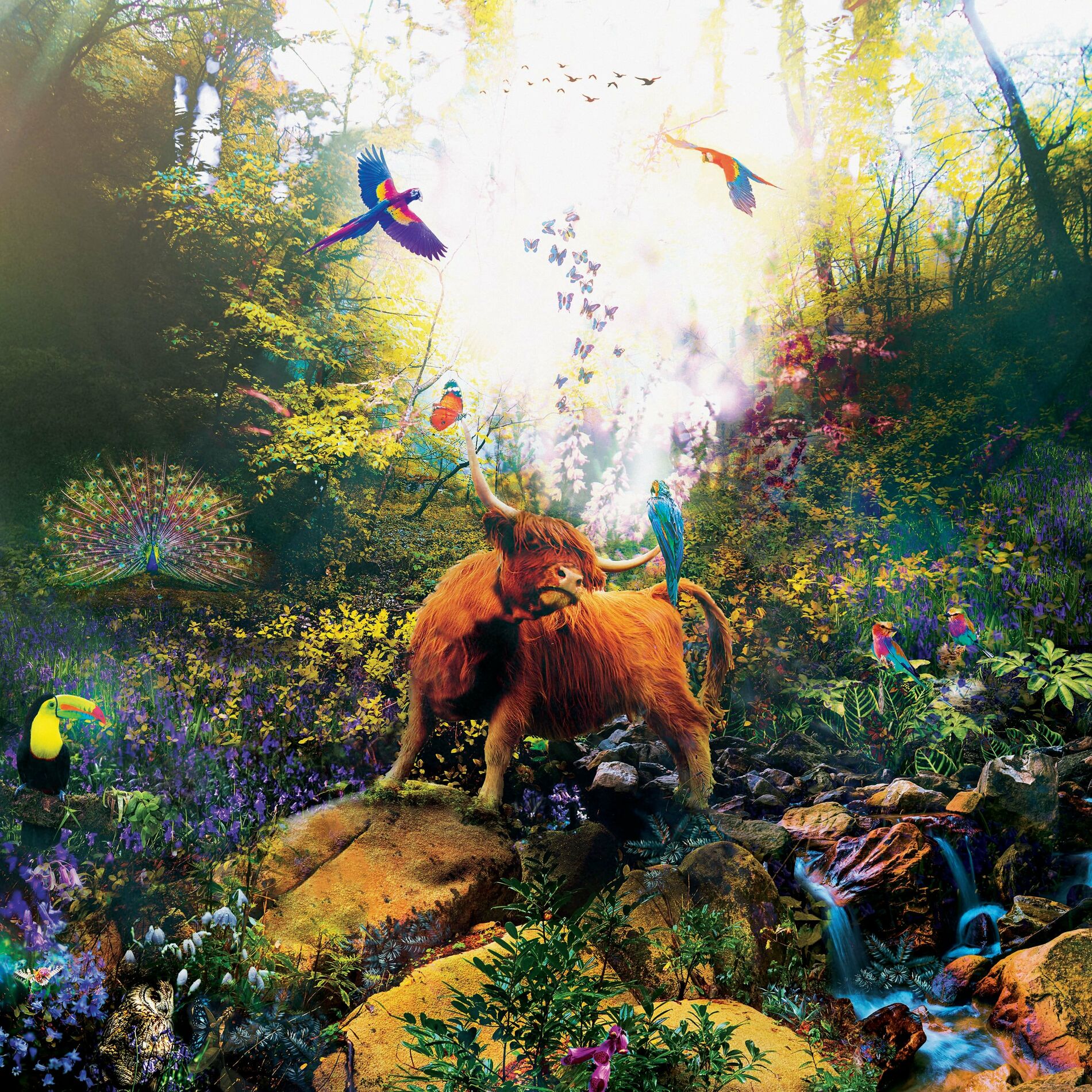 Album cover of Inner Passages