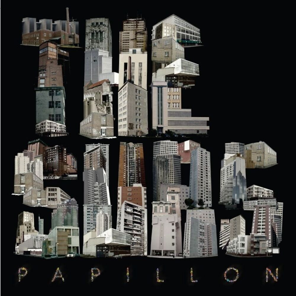 Picture of Papillon