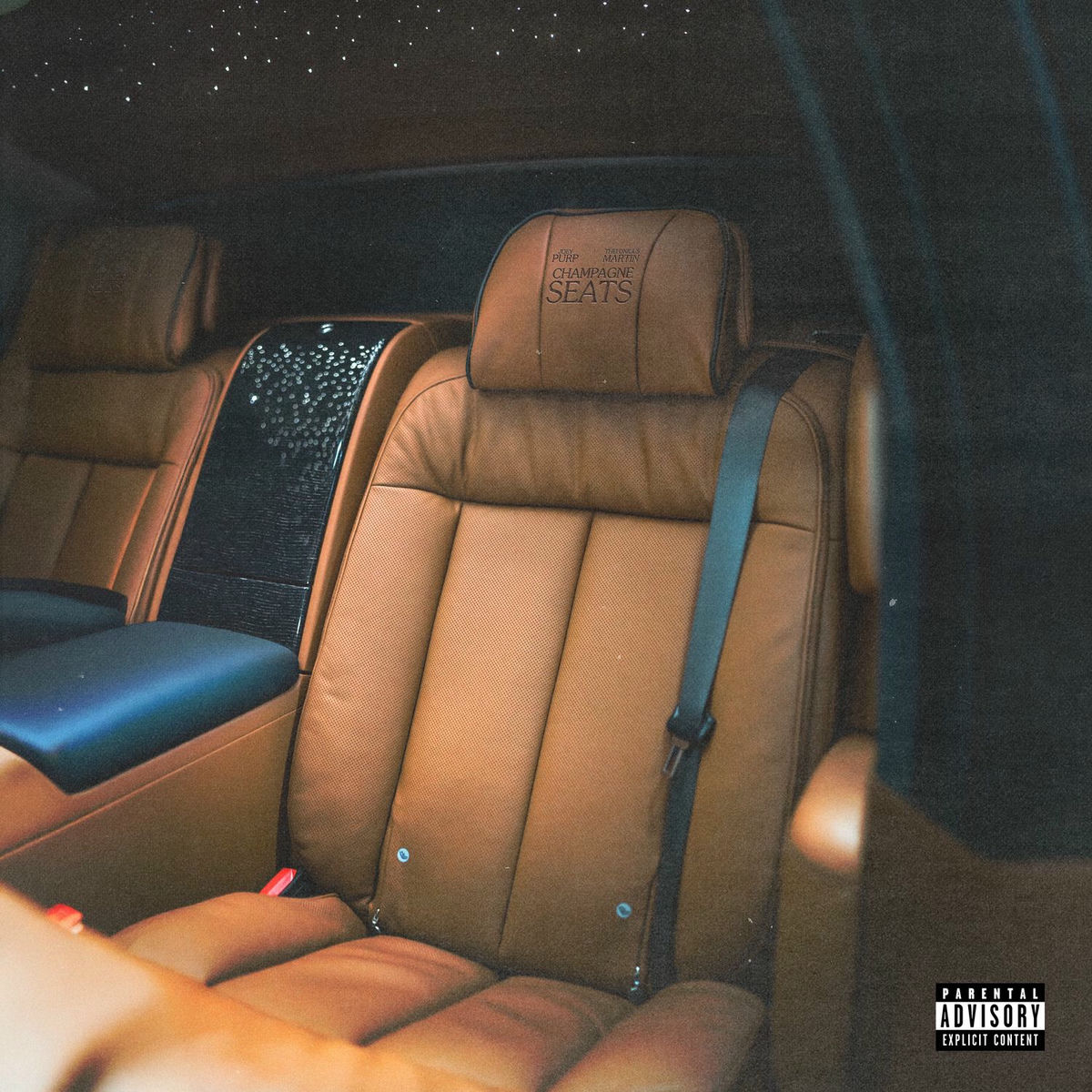 Album cover of Champagne Seats