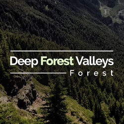 Cover of Deep Forest Valleys