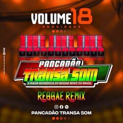Cover of PancadÃ£o Transa Som Volume 18B