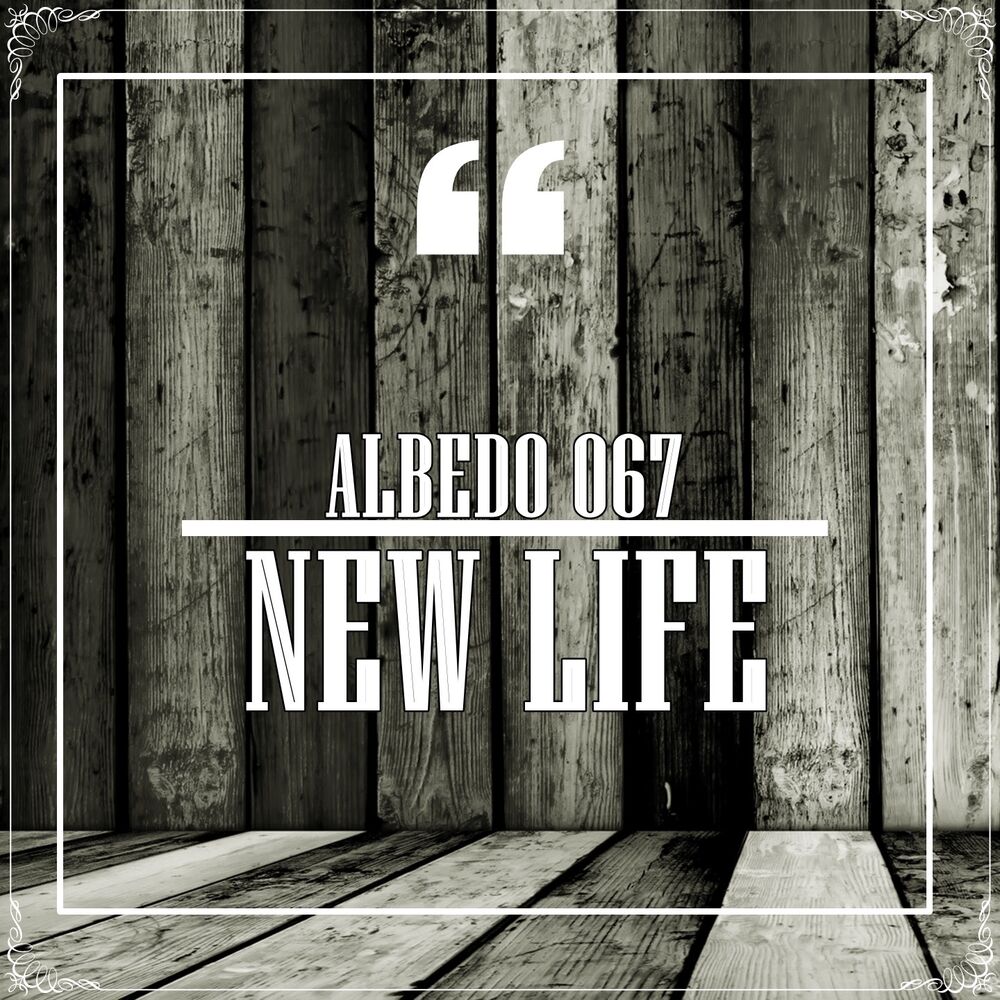 Picture of New Life