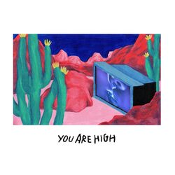 Cover of You're High