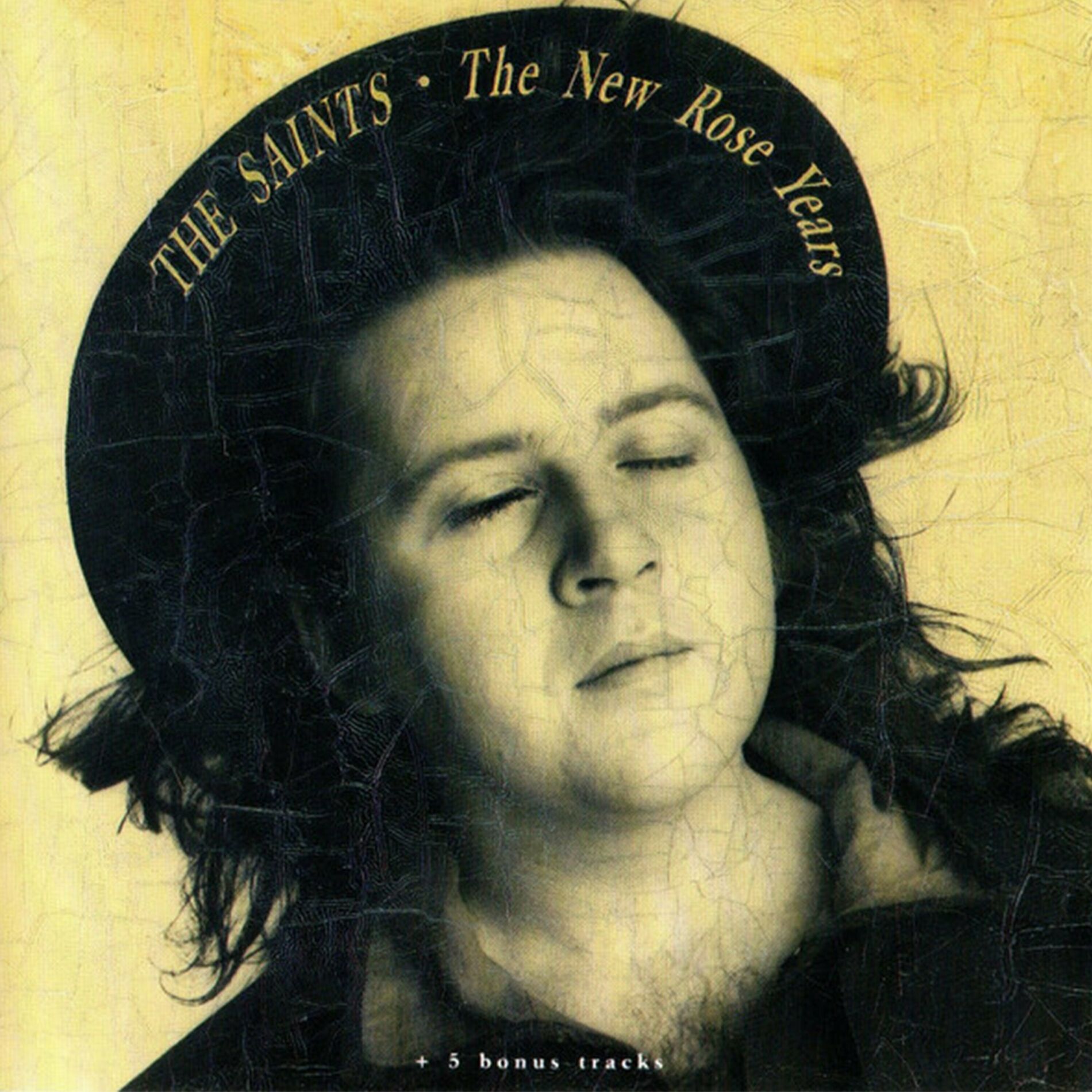 Album cover of The New Rose Years