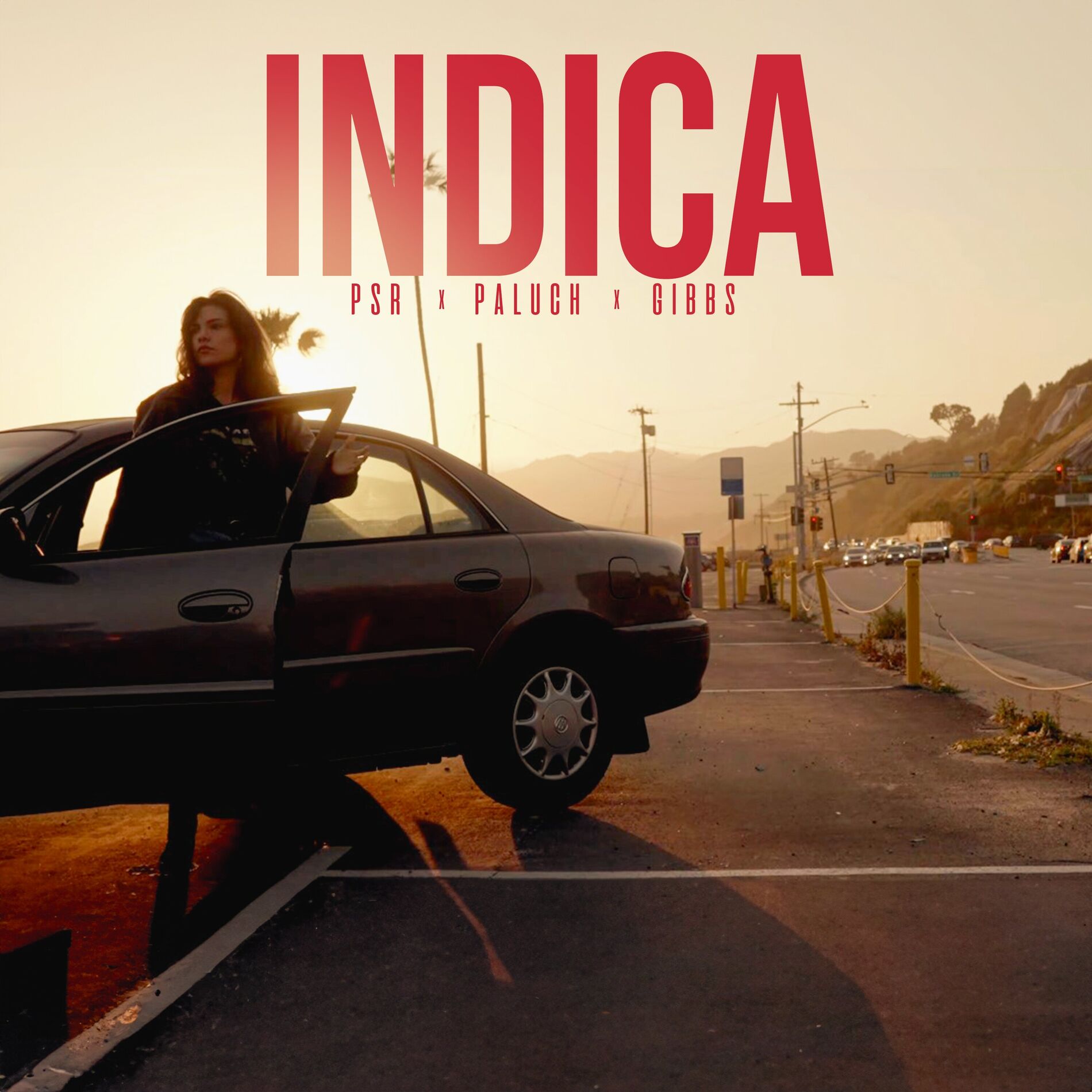 Album cover of INDICA