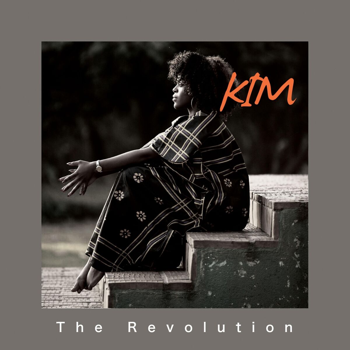 Album cover of The Revolution