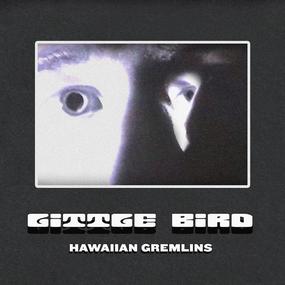 Picture of Little Bird