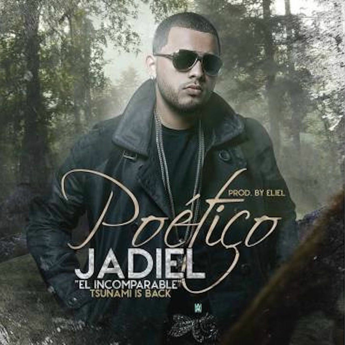 Album cover of Poetico - Single