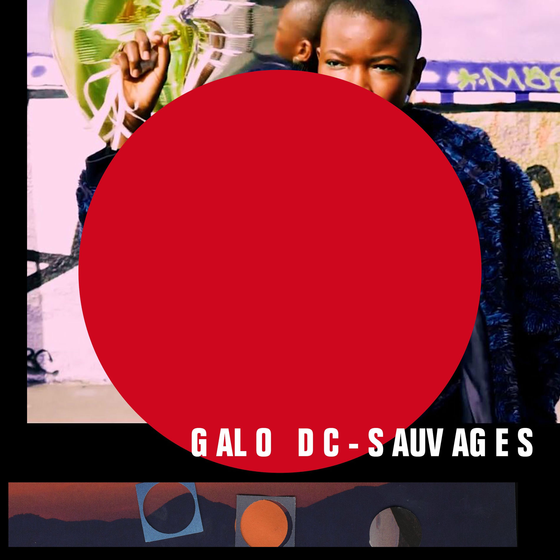 Album cover of Sauvages