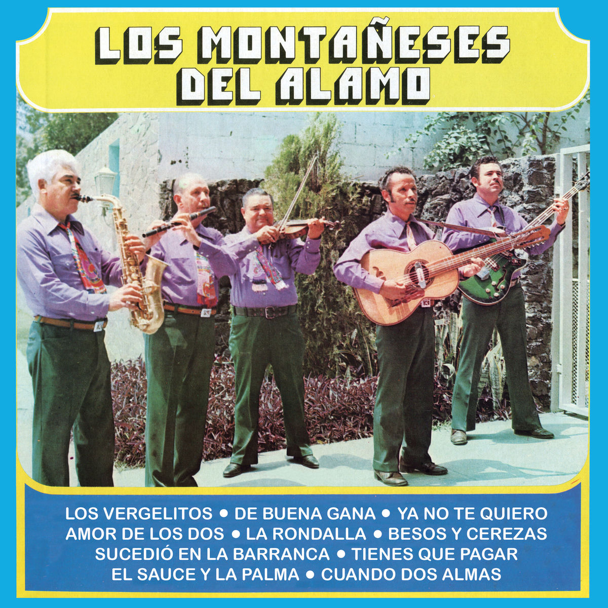 Album cover of Los Vergelitos