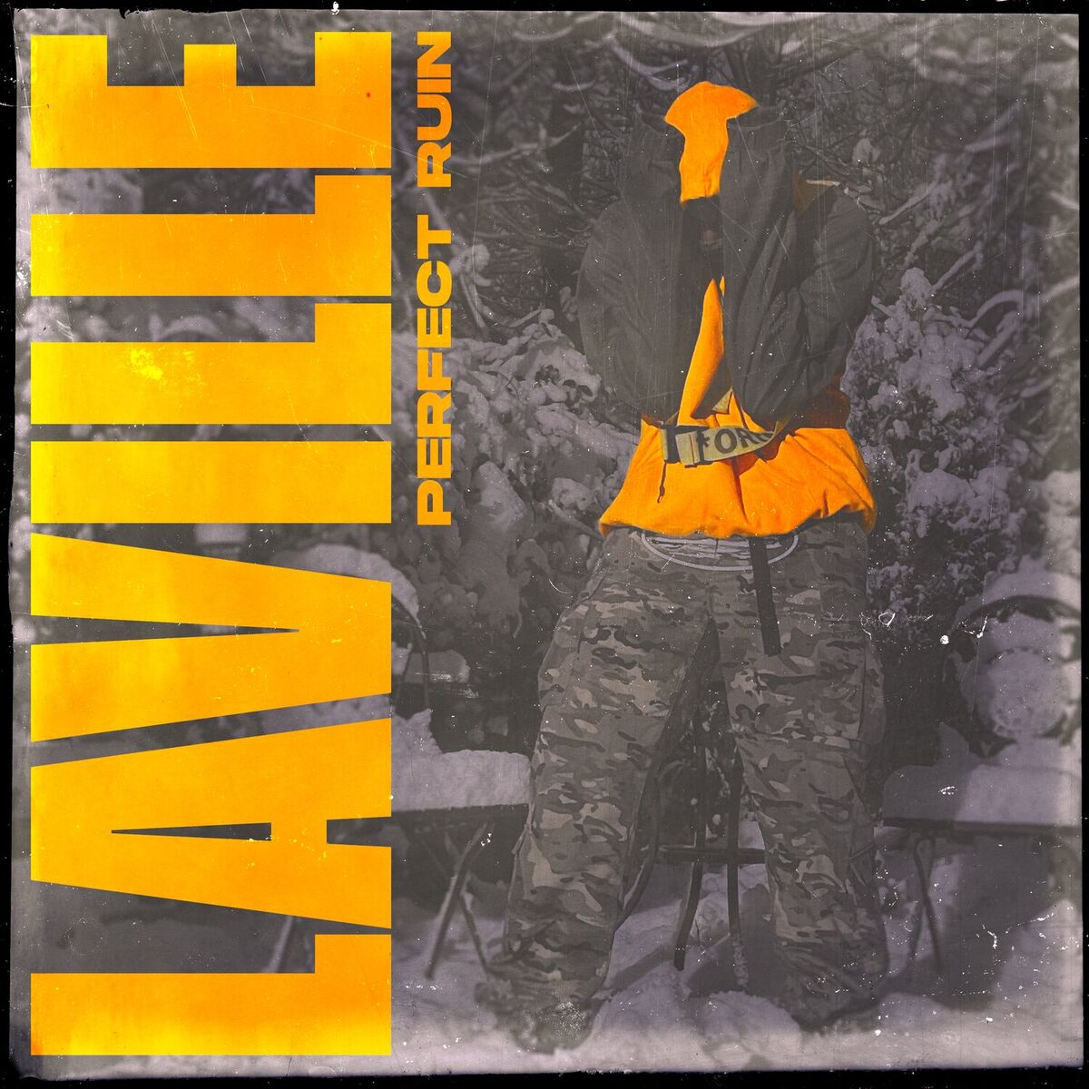 Album cover of Perfect Ruin
