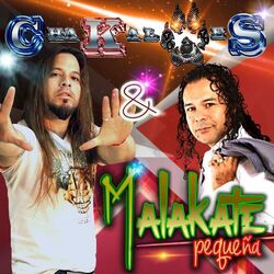 Cover of Pequeña