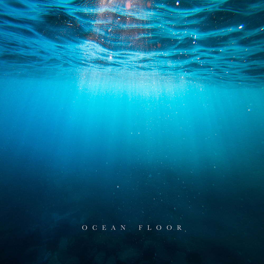 Picture of Ocean Floor
