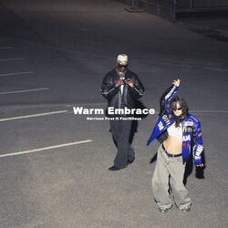 Cover of Warm Embrace