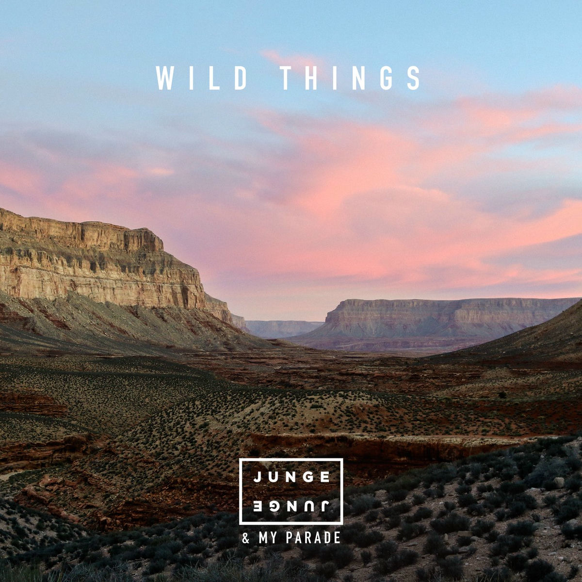 Album cover of Wild Things