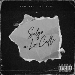 Cover of Salgo a la Calle