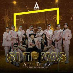 Cover of Si Te Vas