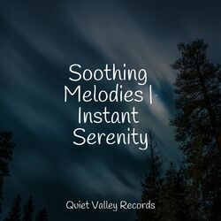 Cover of Soothing Melodies | Instant Serenity