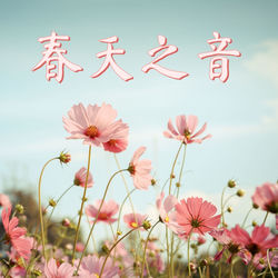 Cover of 春天之音: 春天到了，享受纯粉大自然的声音，鸟鸣叫，河流，水声，最放松的大自然白噪音，适合放松、休息、睡觉的背景音乐，治疗效果的音乐 by undefined